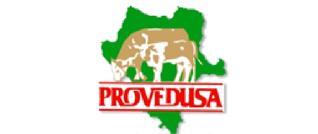Provedusa